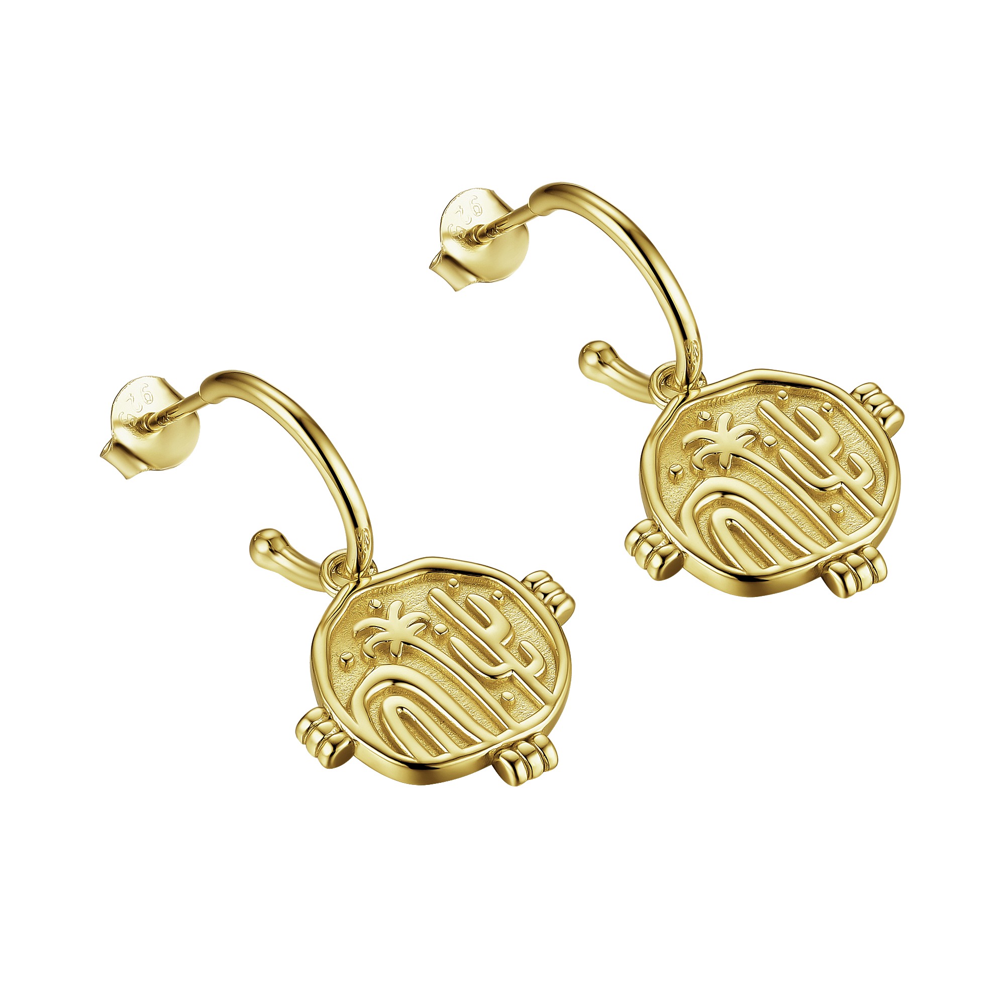 Desert Dreamer Earrings