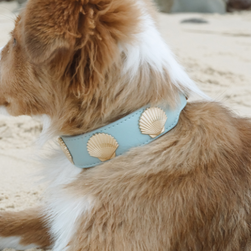 Coastal Collar in Blue & Gold