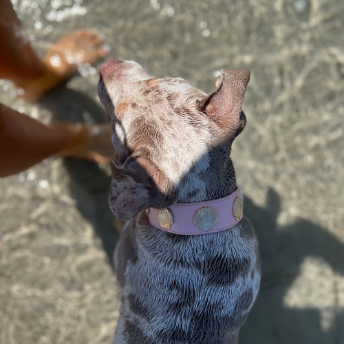 Coastal Collar in Pink & Gold