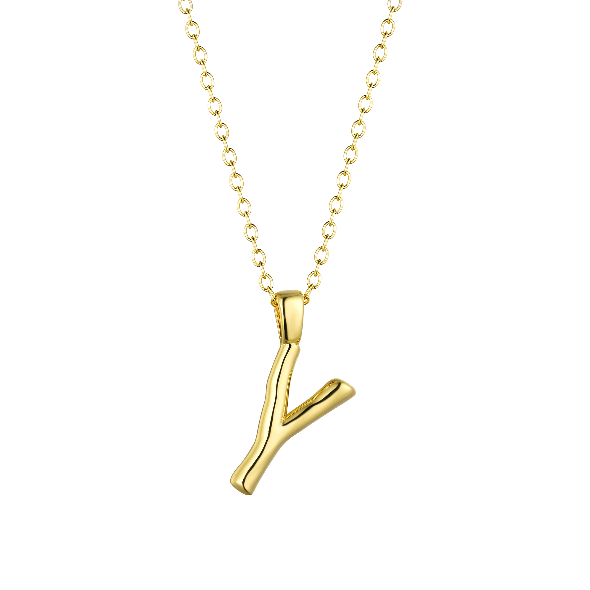 🎁 Initial Necklace (100% off)